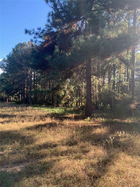 541 Fcr 240 Fairfield, TX 75840 - Photo 33 of 38 a view of a yard with a tree