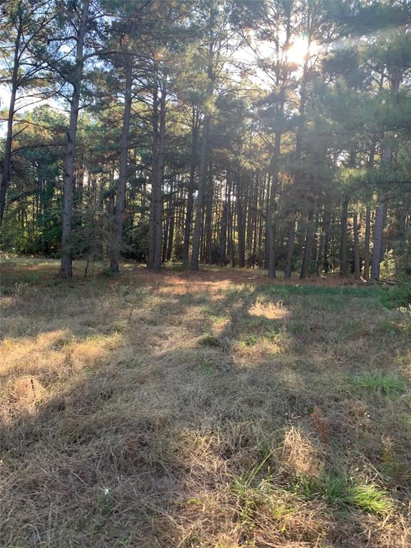 541 Fcr 240 Fairfield, TX 75840 - Photo 35 of 38 a backyard of a house with lots of green space