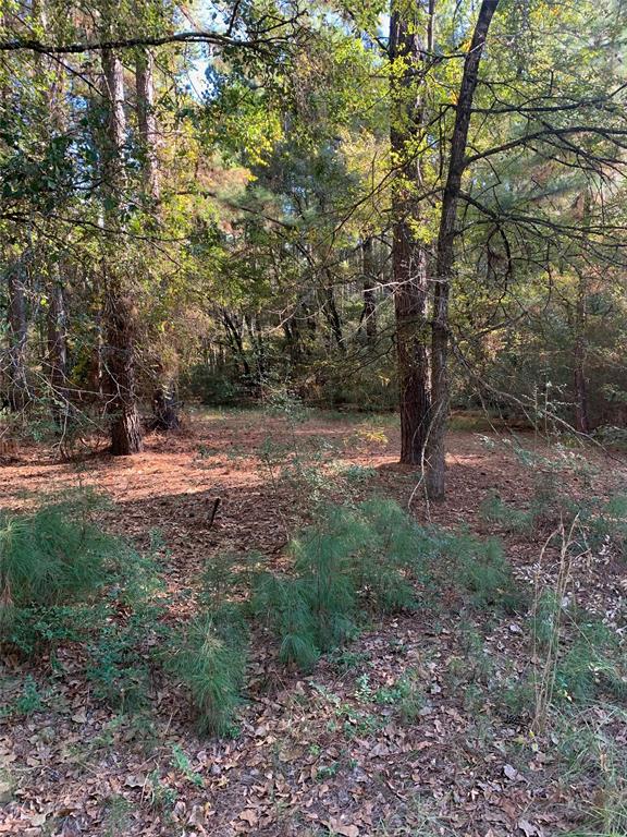541 Fcr 240 Fairfield, TX 75840 - Photo 37 of 38 a view of outdoor space and trees