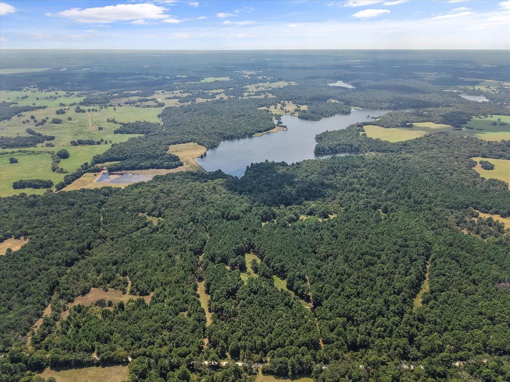 541 Fcr 240 Fairfield, TX 75840 - Photo 5 of 38 an aerial view of a house with a lake view