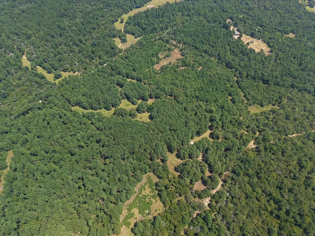 541 Fcr 240 Fairfield, TX 75840 - Photo 7 of 38 a view of a house with a lush green forest