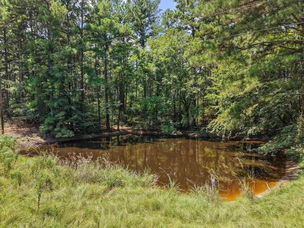 541 Fcr 240 Fairfield, TX 75840 - Photo 8 of 38 a view of a lake view