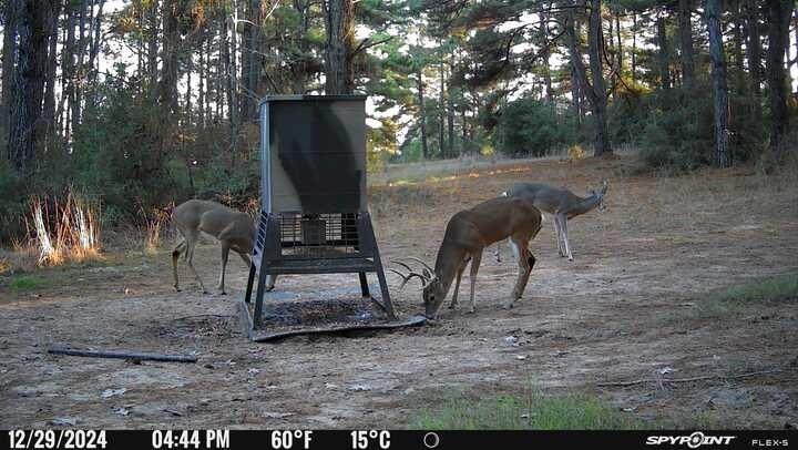 541 Fcr 240 Fairfield, TX 75840 - Photo 9 of 38 a view of a backyard