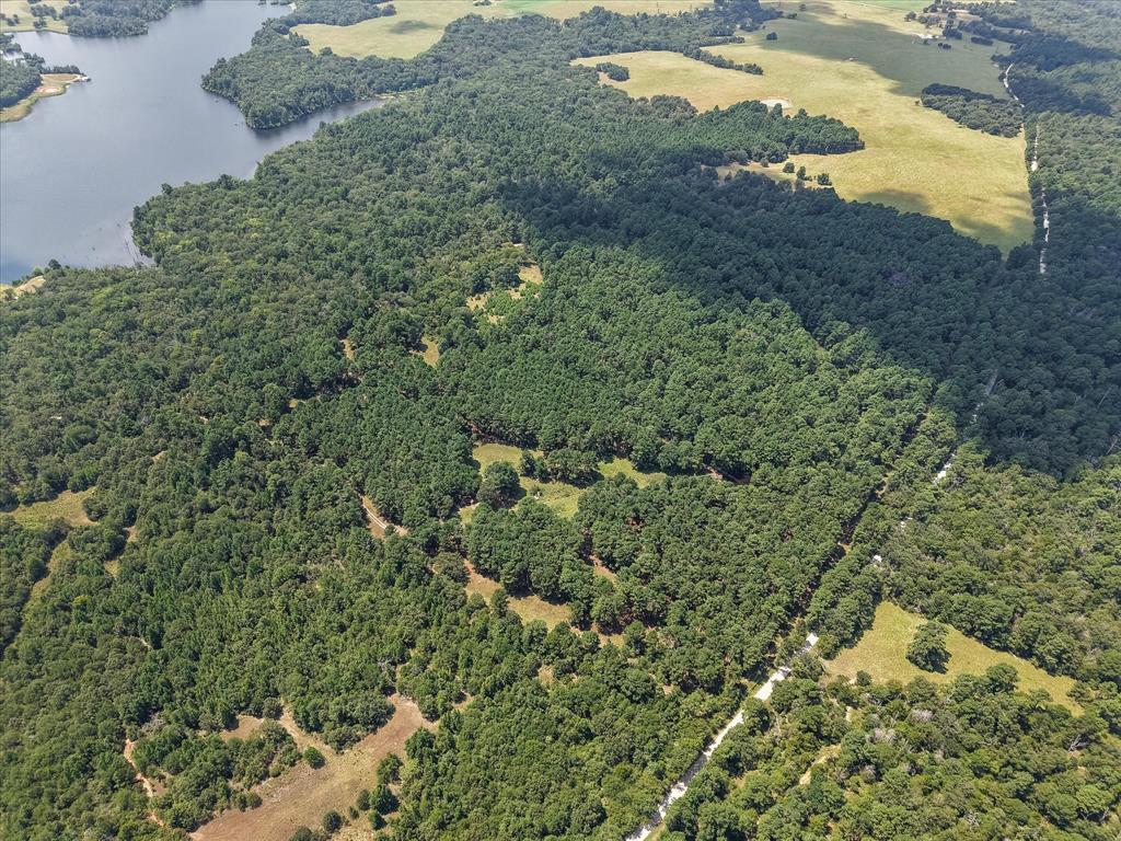 541 Fcr 240 Fairfield, TX 75840 - Photo 10 of 38 a view of a yard