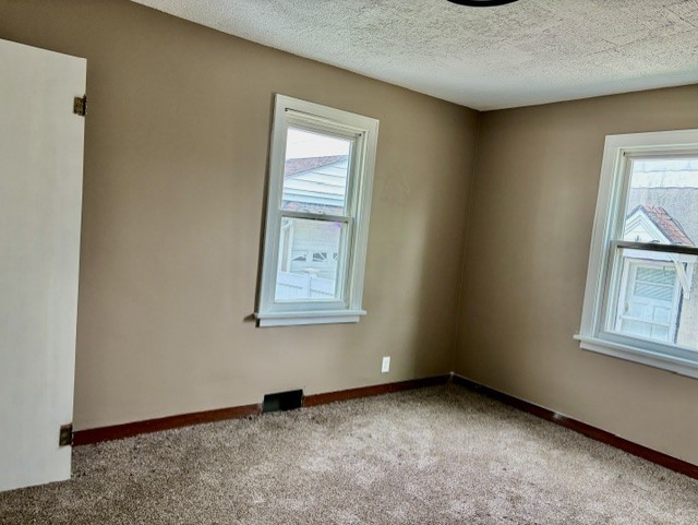 325 West 3rd Street Spring Valley, IL 61362 - Photo 9 of 11 Gallery Image 9