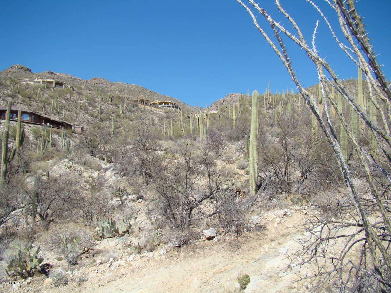 12161 East Coronado Road Tucson, AZ 85749 - Photo 9 of 11 Gallery Image 9