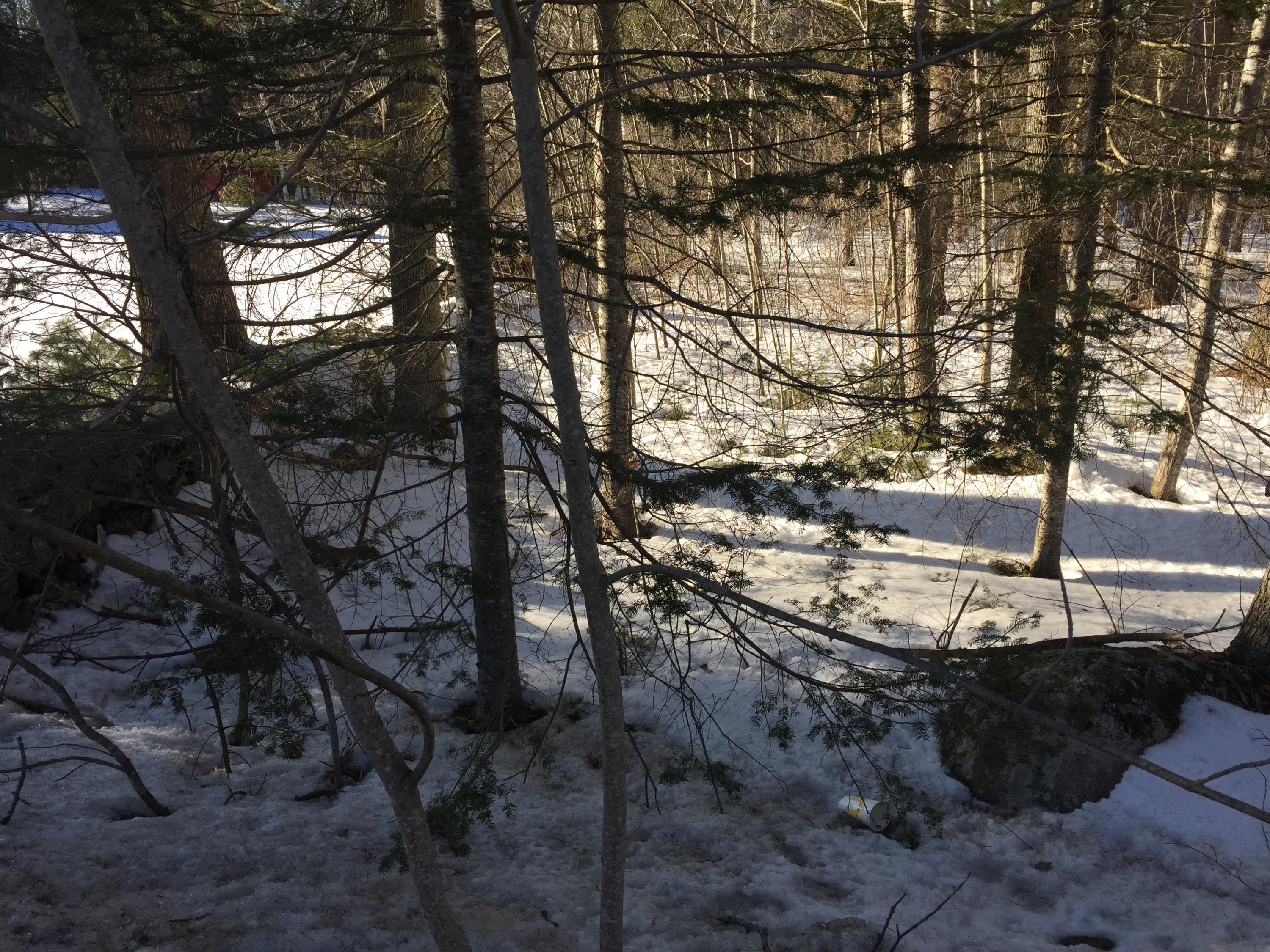 181 Back Belmont Road Belfast, ME 04915 - Photo 2 of 4 IMG_2468