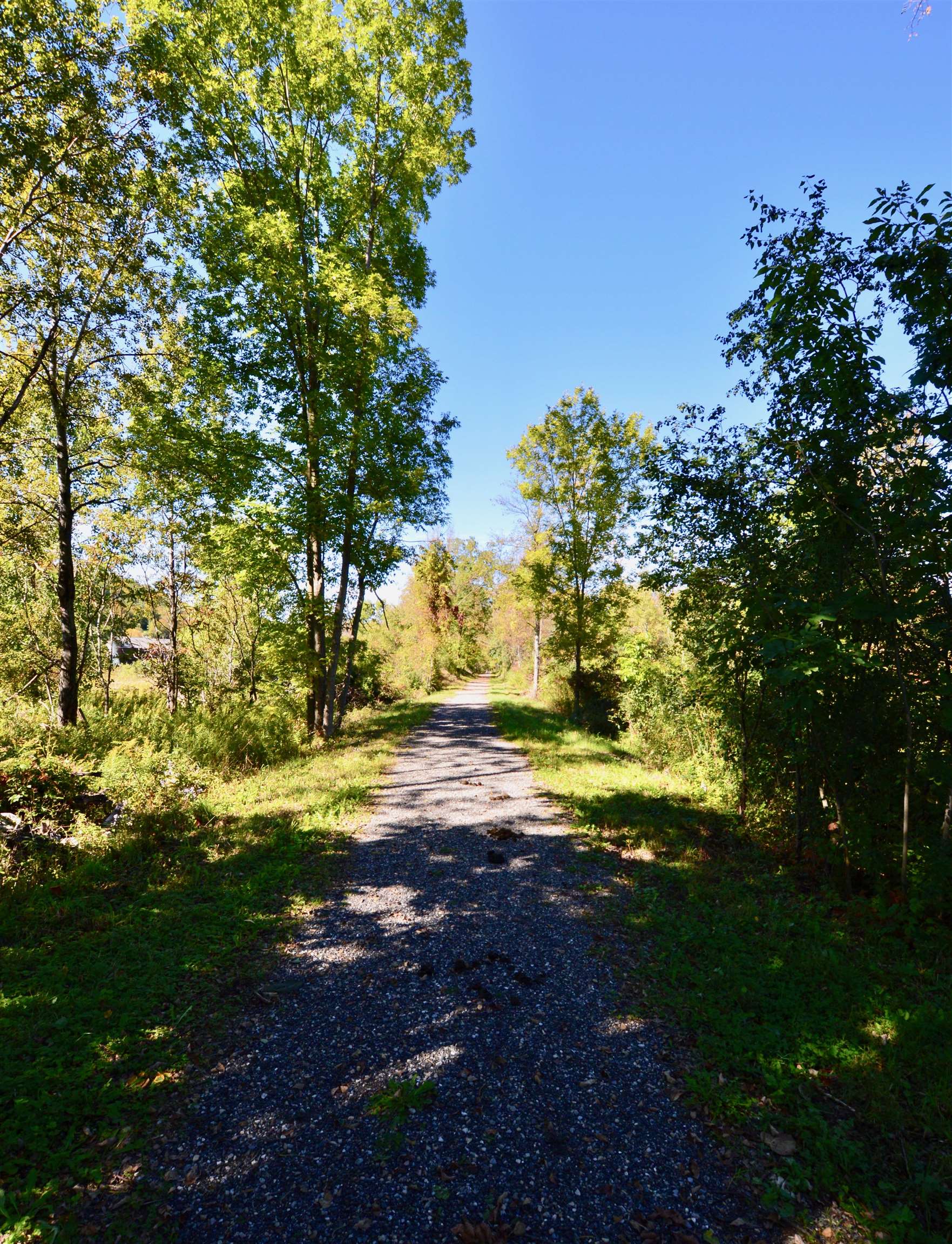 312 Edwards Lane Pawlet, VT 05775 - Photo 8 of 13 Gallery Image 8