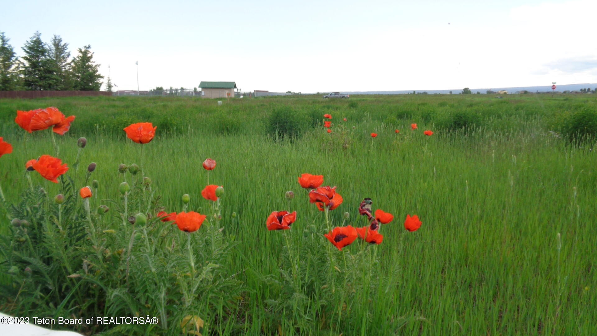 775 Buffalo Trail, Driggs, ID 83422 Compass