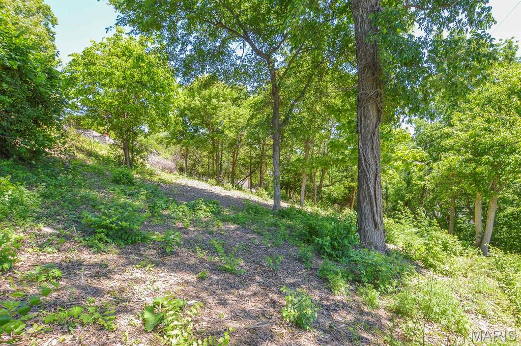 3100 Illini Trail Godfrey, IL 62035 - Photo 9 of 10