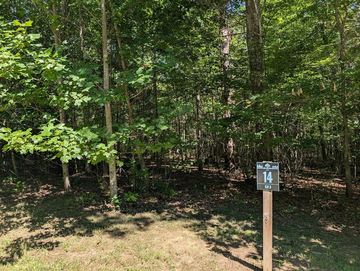 a street sign on a sidewalk next to a road