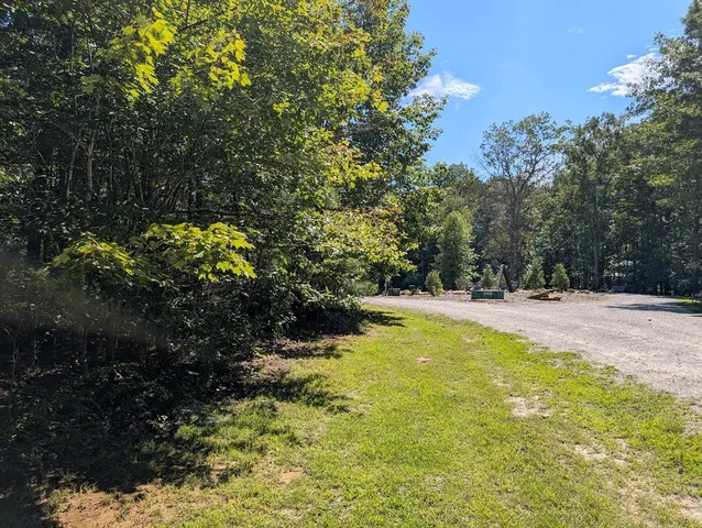a view of yard with tree in back