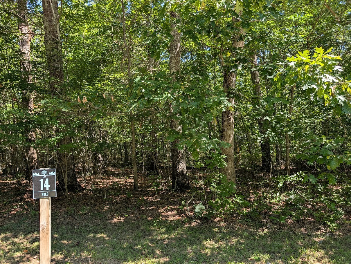 140 Sunset Bluff Monteagle, TN 37356 - Photo 4 of 28 a view of a street with a tree