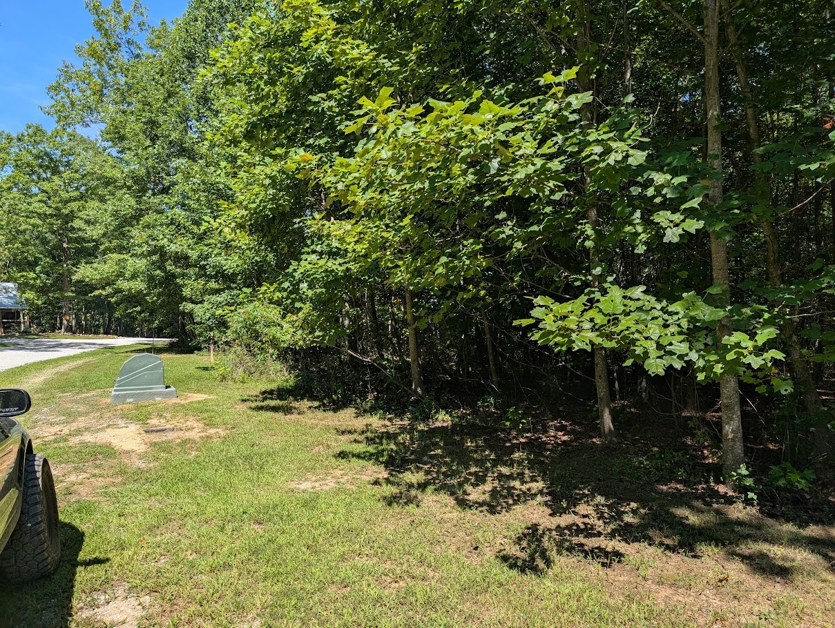 140 Sunset Bluff Monteagle, TN 37356 - Photo 5 of 28 a view of yard with green space