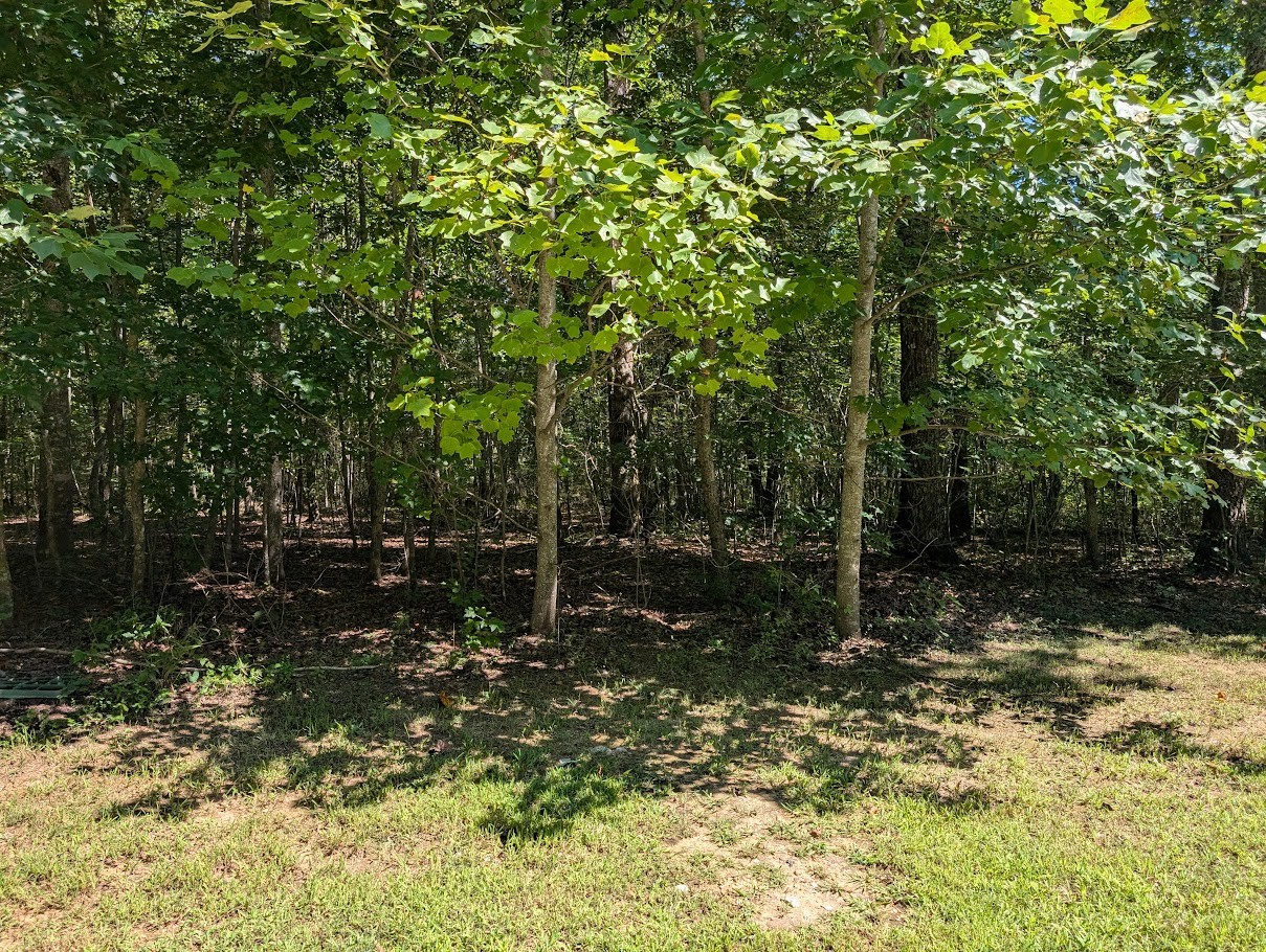 140 Sunset Bluff Monteagle, TN 37356 - Photo 8 of 28 a backyard of a house with lots of green space