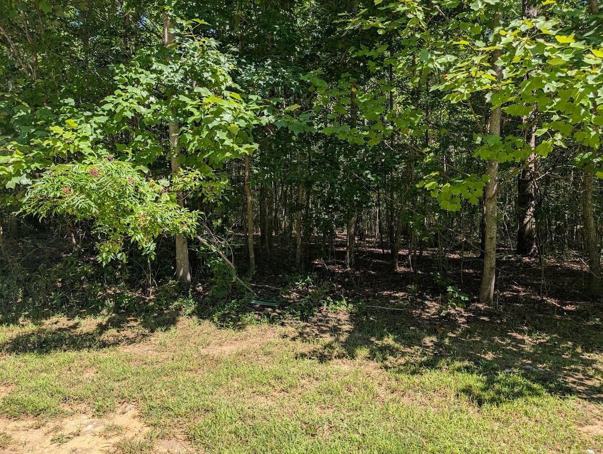 140 Sunset Bluff Monteagle, TN 37356 - Photo 10 of 28 a backyard of a house with lots of green space