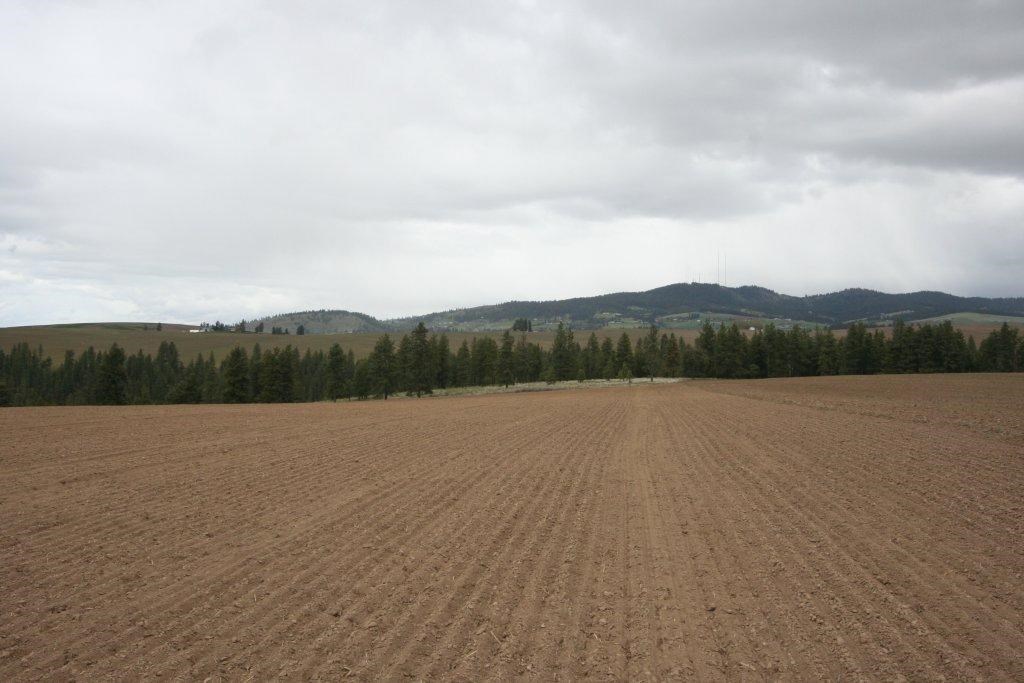 15310 South Paradise Approx Road Valleyford, WA 99036 - Photo 1 of 20