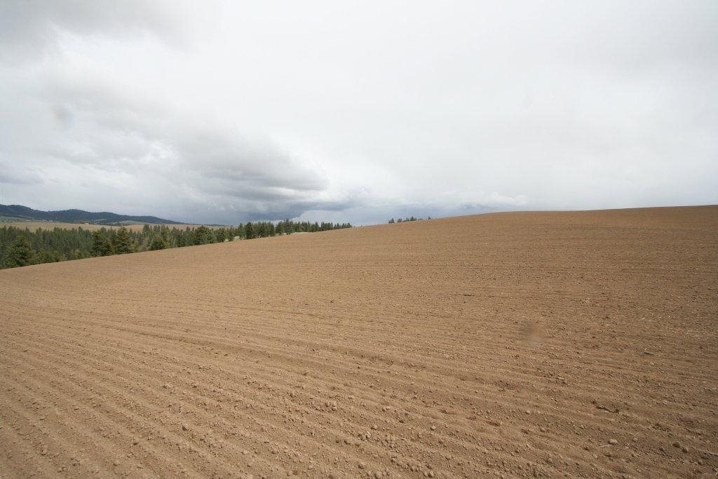 15310 South Paradise Approx Road Valleyford, WA 99036 - Photo 11 of 20