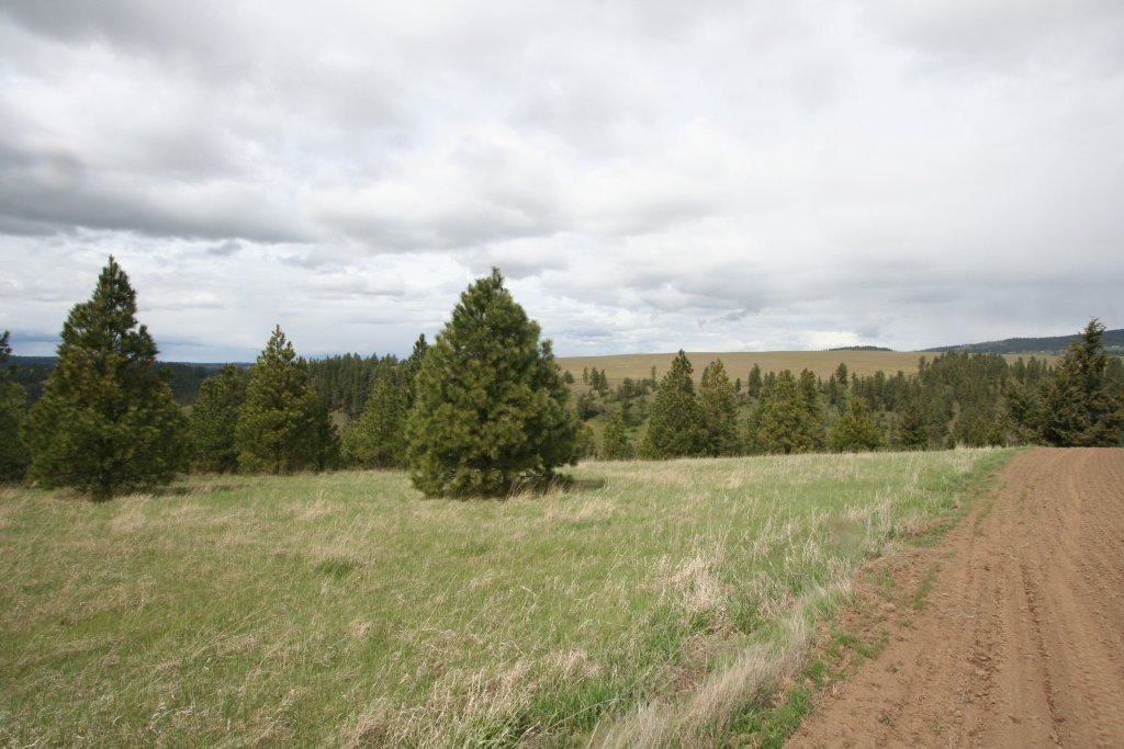 15310 South Paradise Approx Road Valleyford, WA 99036 - Photo 13 of 20