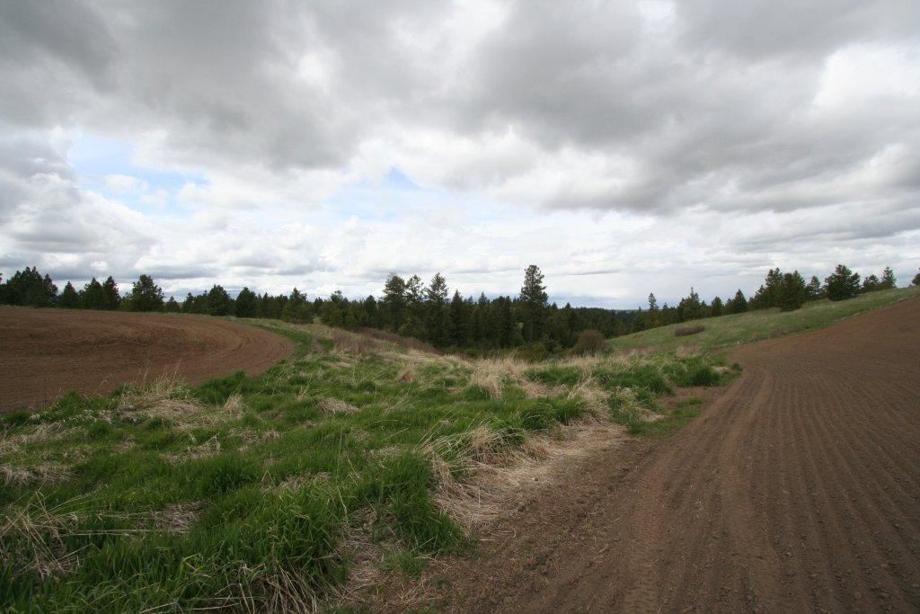 15310 South Paradise Approx Road Valleyford, WA 99036 - Photo 17 of 20