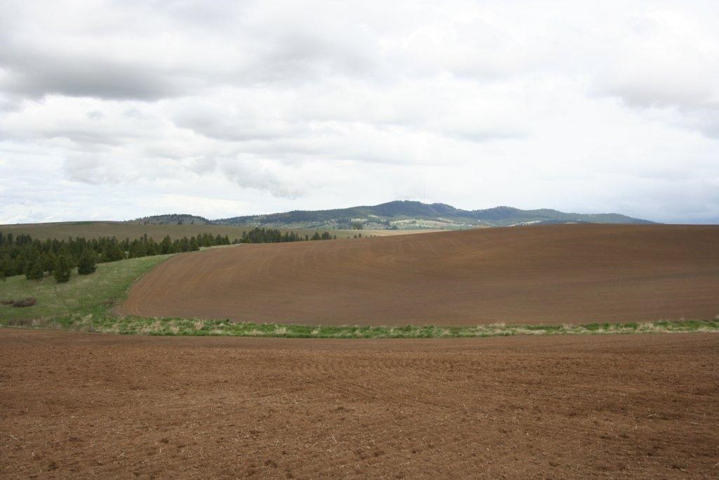 15310 South Paradise Approx Road Valleyford, WA 99036 - Photo 18 of 20