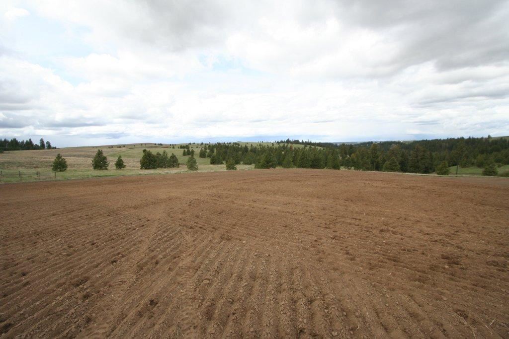 15310 South Paradise Approx Road Valleyford, WA 99036 - Photo 19 of 20