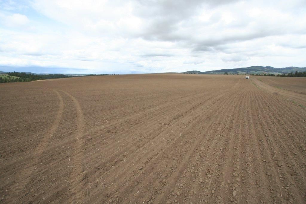 15310 South Paradise Approx Road Valleyford, WA 99036 - Photo 20 of 20