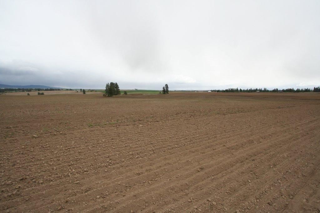 15310 South Paradise Approx Road Valleyford, WA 99036 - Photo 3 of 20