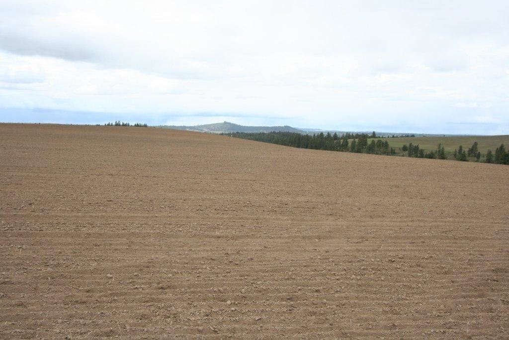 15310 South Paradise Approx Road Valleyford, WA 99036 - Photo 4 of 20
