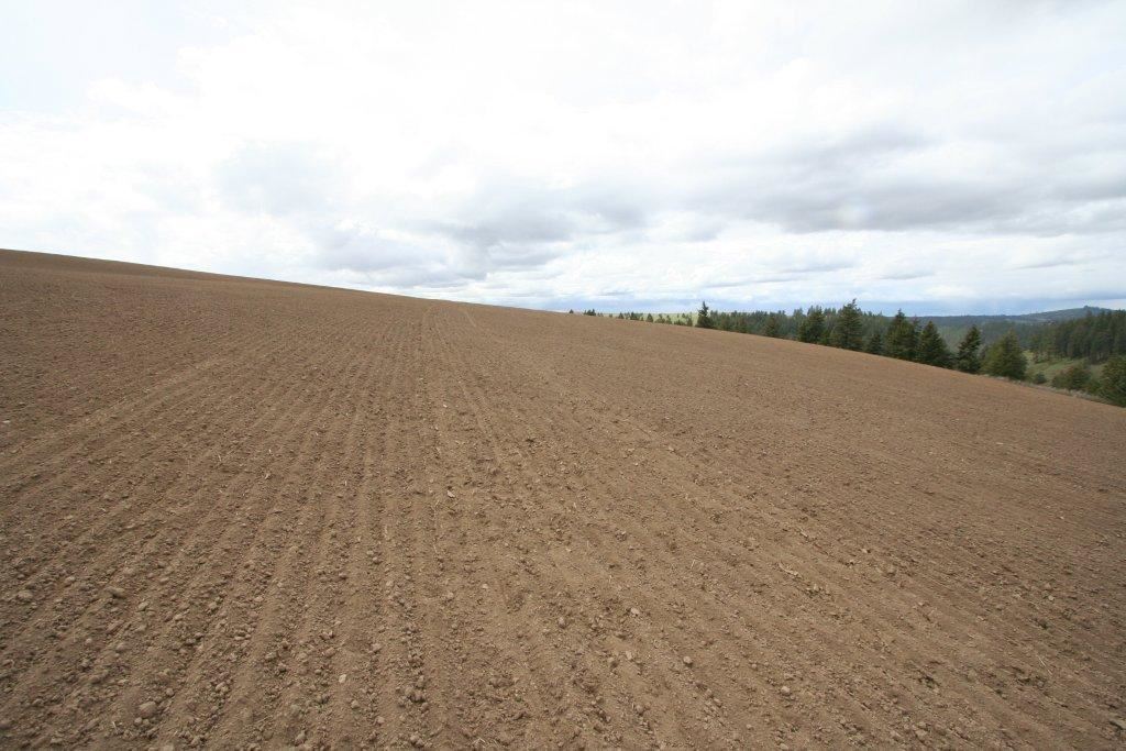 15310 South Paradise Approx Road Valleyford, WA 99036 - Photo 7 of 20