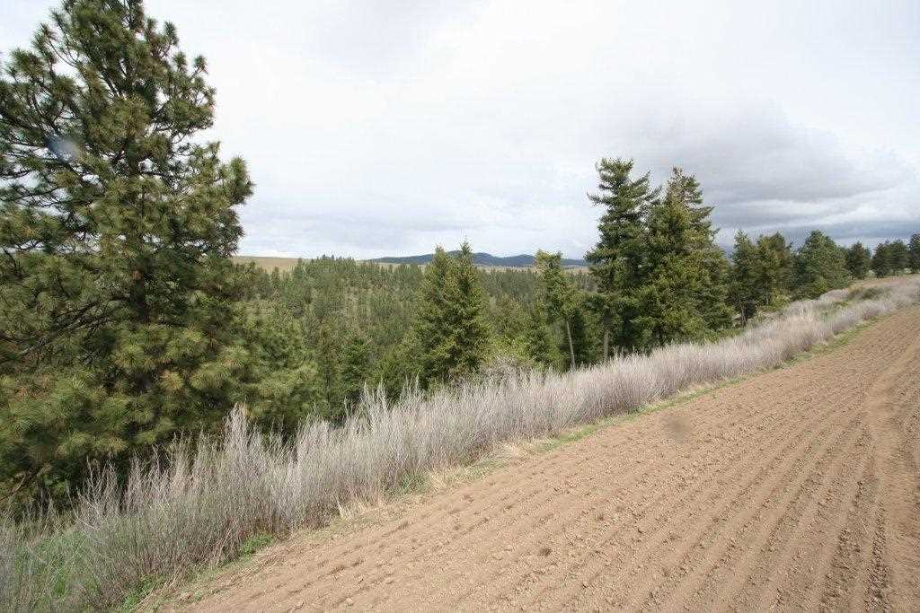 15310 South Paradise Approx Road Valleyford, WA 99036 - Photo 10 of 20