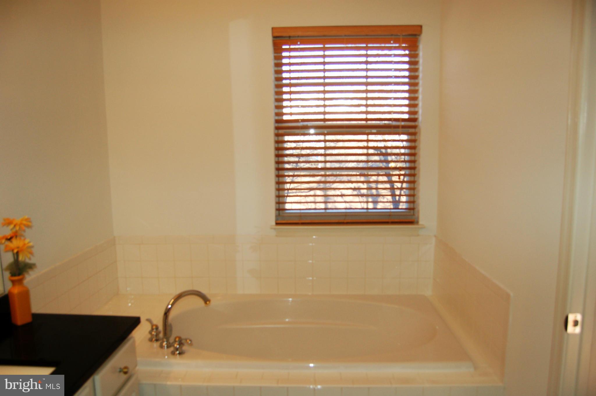 11018 Hemingway Court Silver Spring, MD 20902 - Photo 22 of 30 Bath (Master)