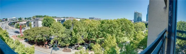 a close up of a plant in a garden