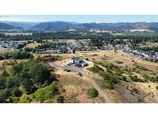 a view of a city with mountains in the background