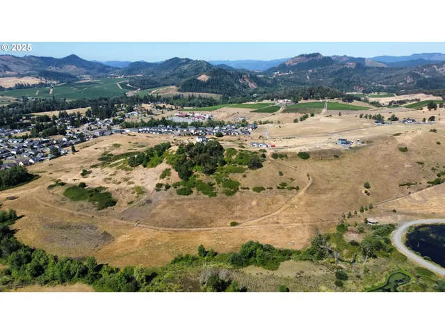 a view of city and mountain
