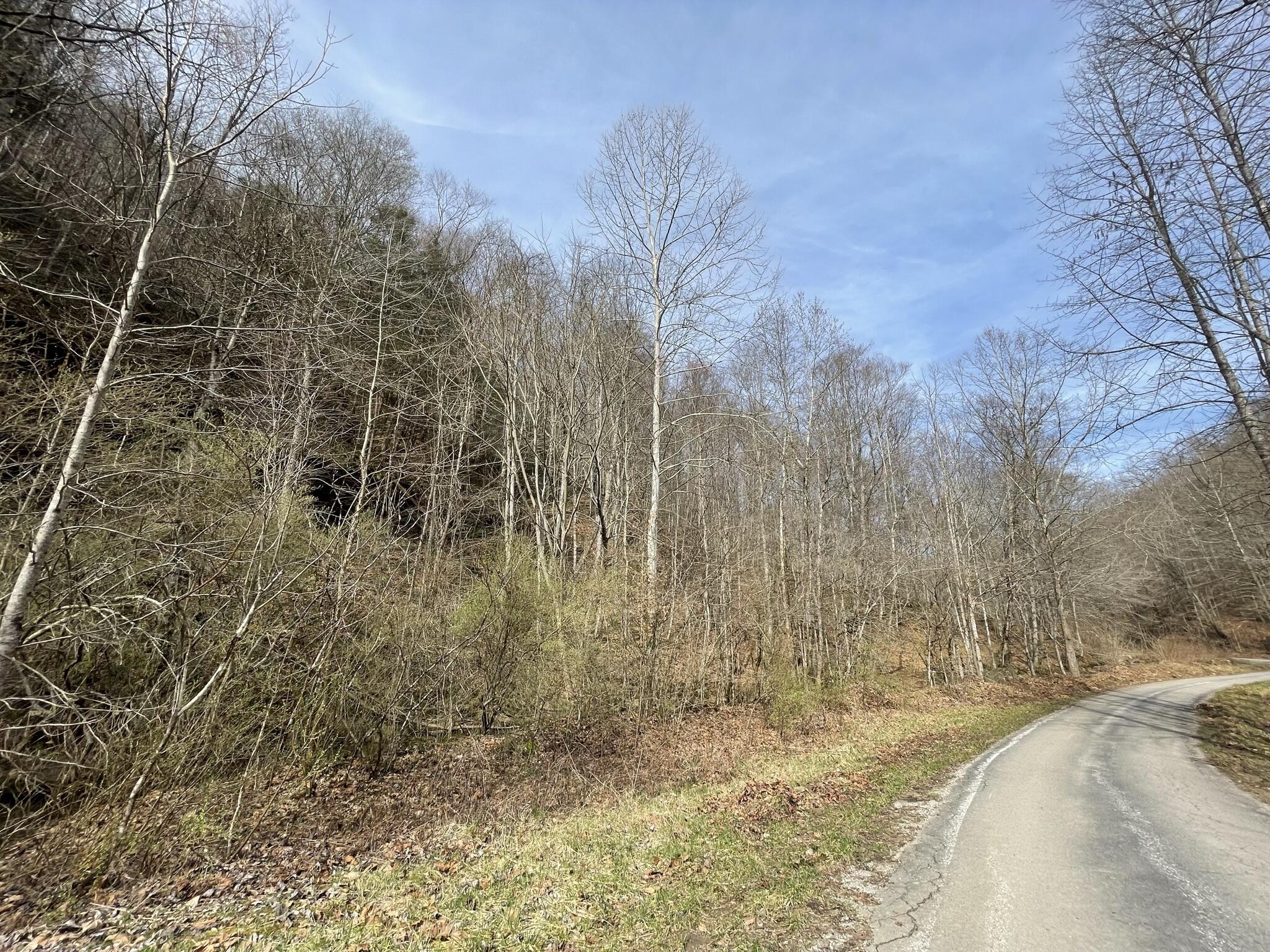 9999 Trace Branch Road Walker, KY 40997 - Photo 11 of 25 IMG_6496