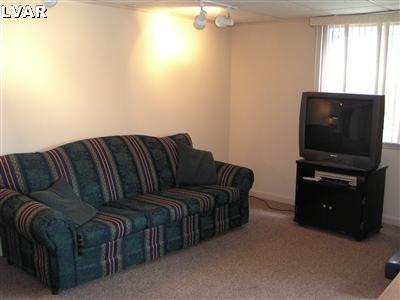 2735 Whitewood Road Bethlehem, PA 18017 - Photo 11 of 20 lower level family room - another view