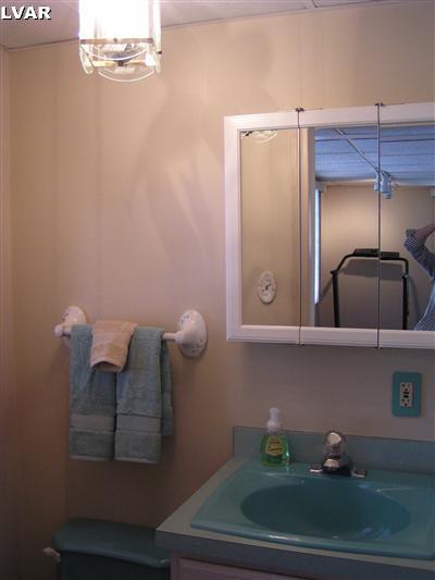 2735 Whitewood Road Bethlehem, PA 18017 - Photo 12 of 20 lower level powder room