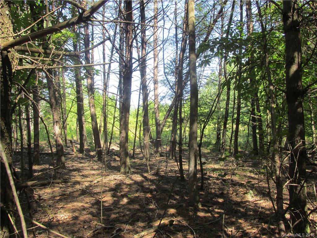 a view of outdoor space with trees