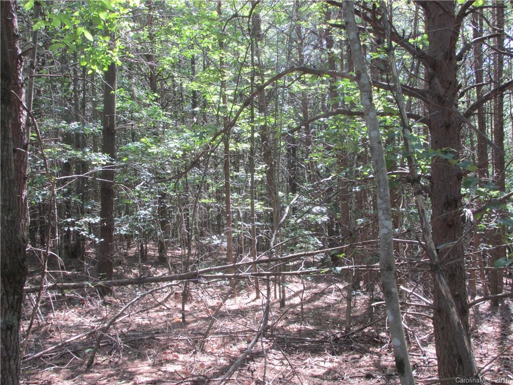 9999 Cottage Park Drive, Unit 3 Morganton, NC 28655 - Photo 11 of 17 a picture of tree