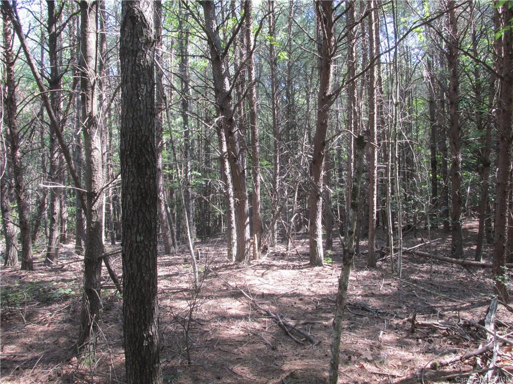 9999 Cottage Park Drive, Unit 3 Morganton, NC 28655 - Photo 12 of 17 a view of outdoor space with lots of trees