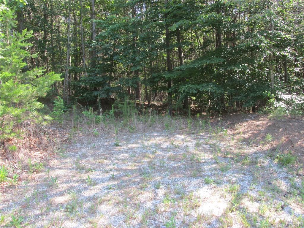 9999 Cottage Park Drive, Unit 3 Morganton, NC 28655 - Photo 14 of 17 a view of a lake with trees