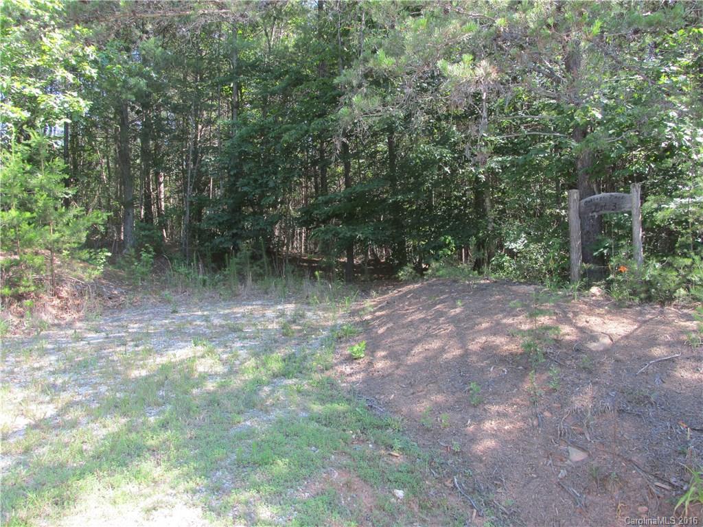 9999 Cottage Park Drive, Unit 3 Morganton, NC 28655 - Photo 15 of 17 a view of a forest with trees in the background