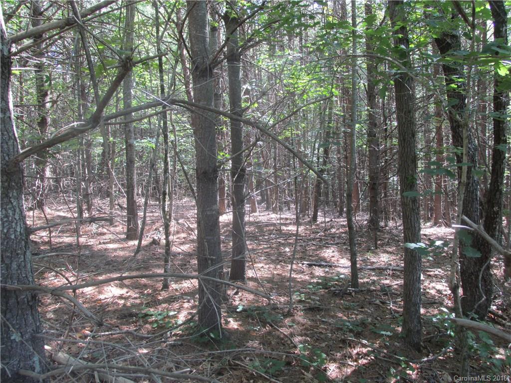 9999 Cottage Park Drive, Unit 3 Morganton, NC 28655 - Photo 4 of 17 a view of forest