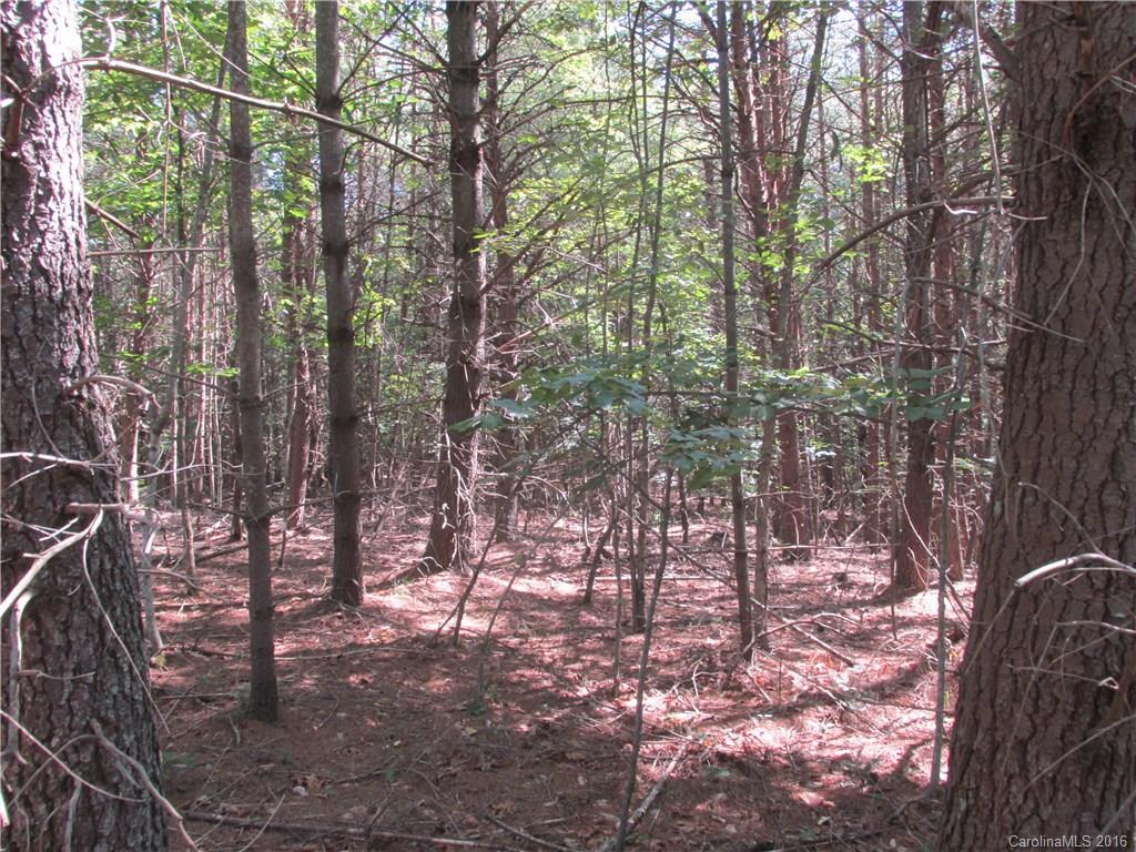9999 Cottage Park Drive, Unit 3 Morganton, NC 28655 - Photo 5 of 17 a view of forest
