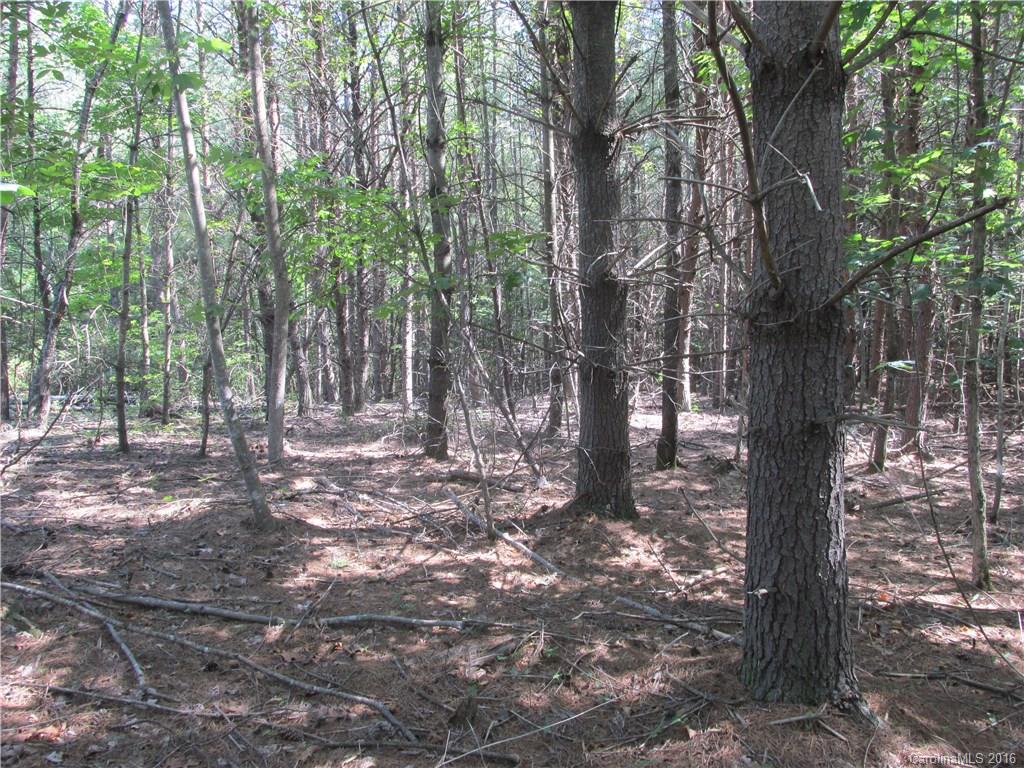 9999 Cottage Park Drive, Unit 3 Morganton, NC 28655 - Photo 6 of 17 a backyard of a house with lots of green space