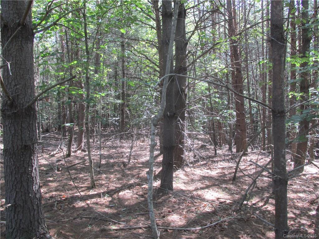 9999 Cottage Park Drive, Unit 3 Morganton, NC 28655 - Photo 7 of 17 a view of forest