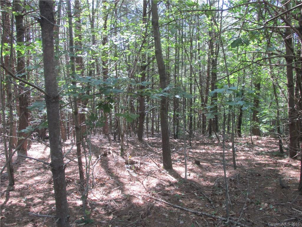 9999 Cottage Park Drive, Unit 3 Morganton, NC 28655 - Photo 8 of 17 a view of outdoor space and trees