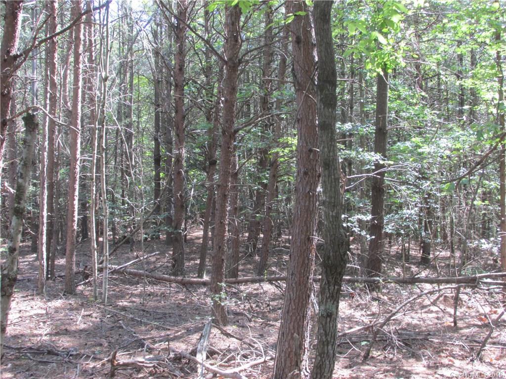 9999 Cottage Park Drive, Unit 3 Morganton, NC 28655 - Photo 10 of 17 a view of forest