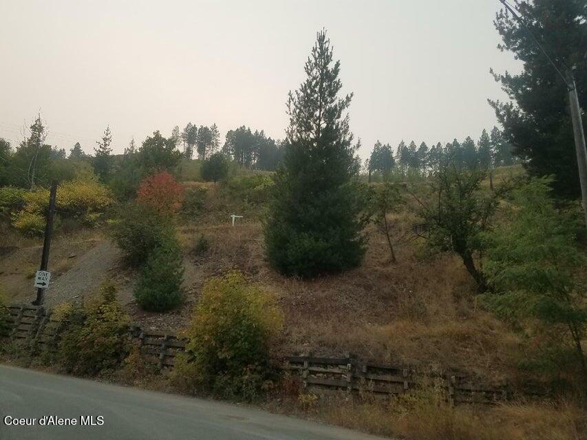 3rd Street Kellogg, ID 83837 - Photo 5 of 5 Upper 3rd-Silver V2